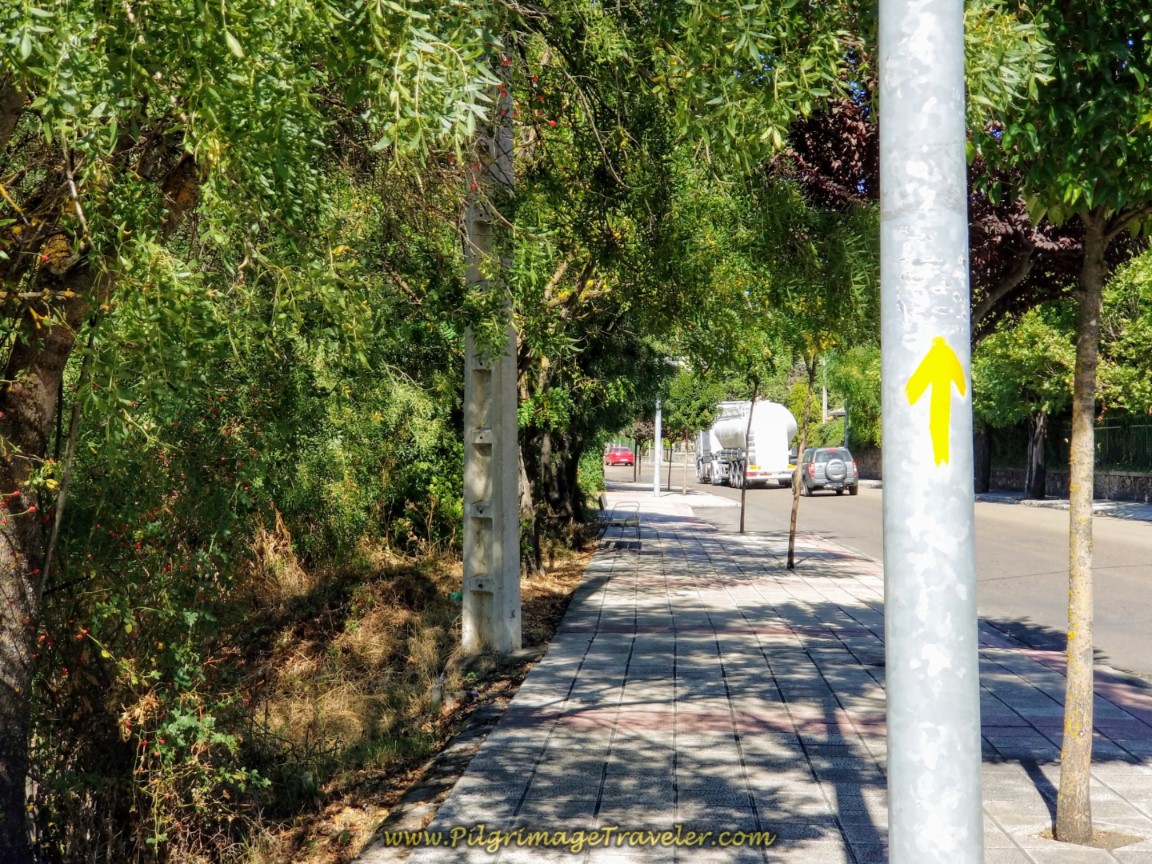 Inviting Tree-Lined Calle Ramón y Cajal