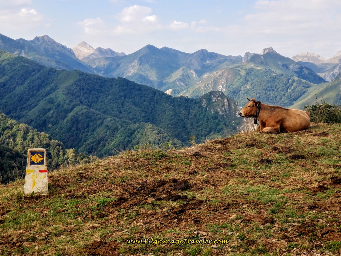 Camino de San Salvador: Overview and Introduction