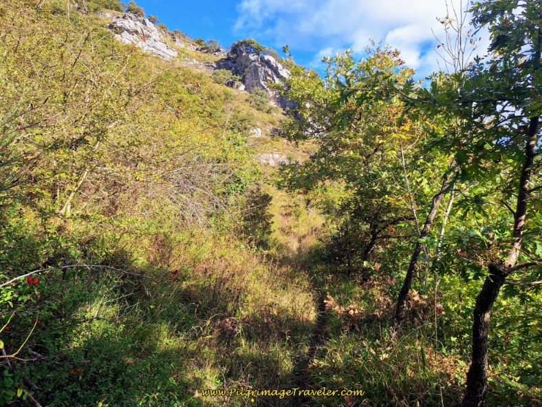 Narrow Trail with Rocky Ridge Above