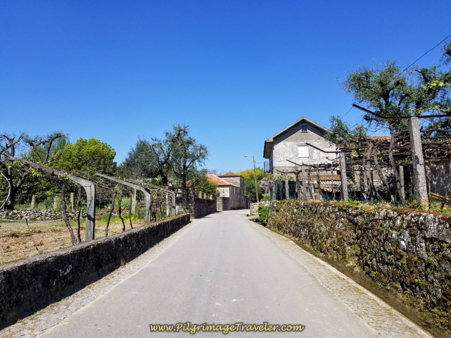 Continuing on the Rua do Caminho do Santiago on day seventeen on the Central Route of the Portuguese Camino
