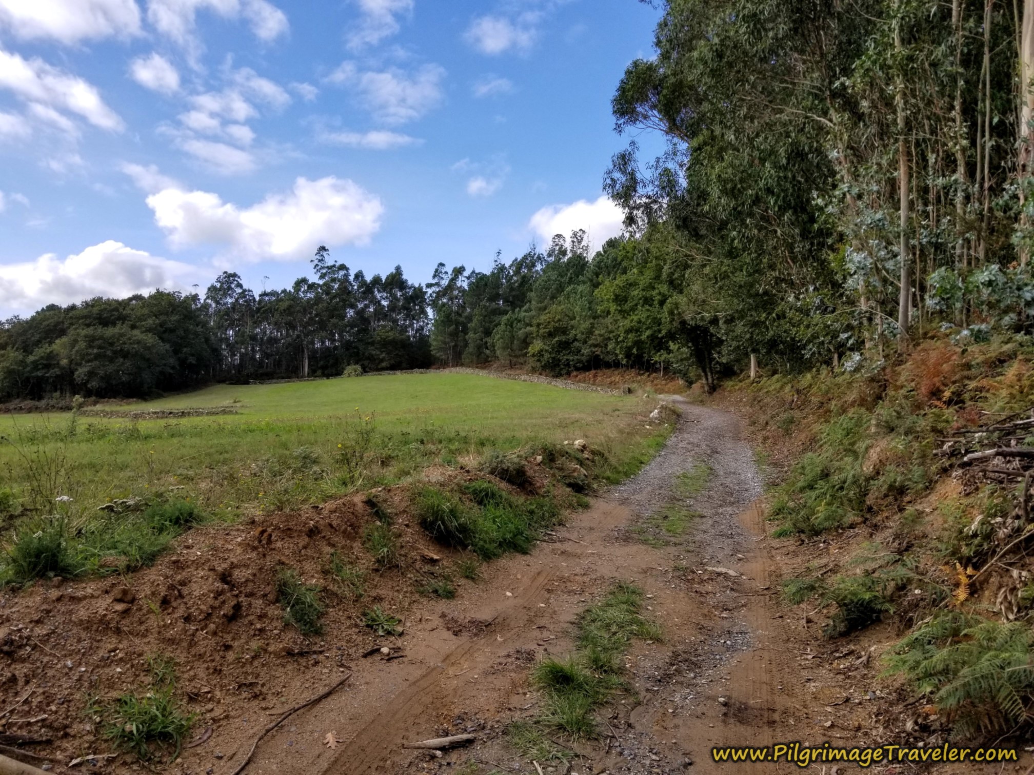 Lane Continues Toward Lestedo