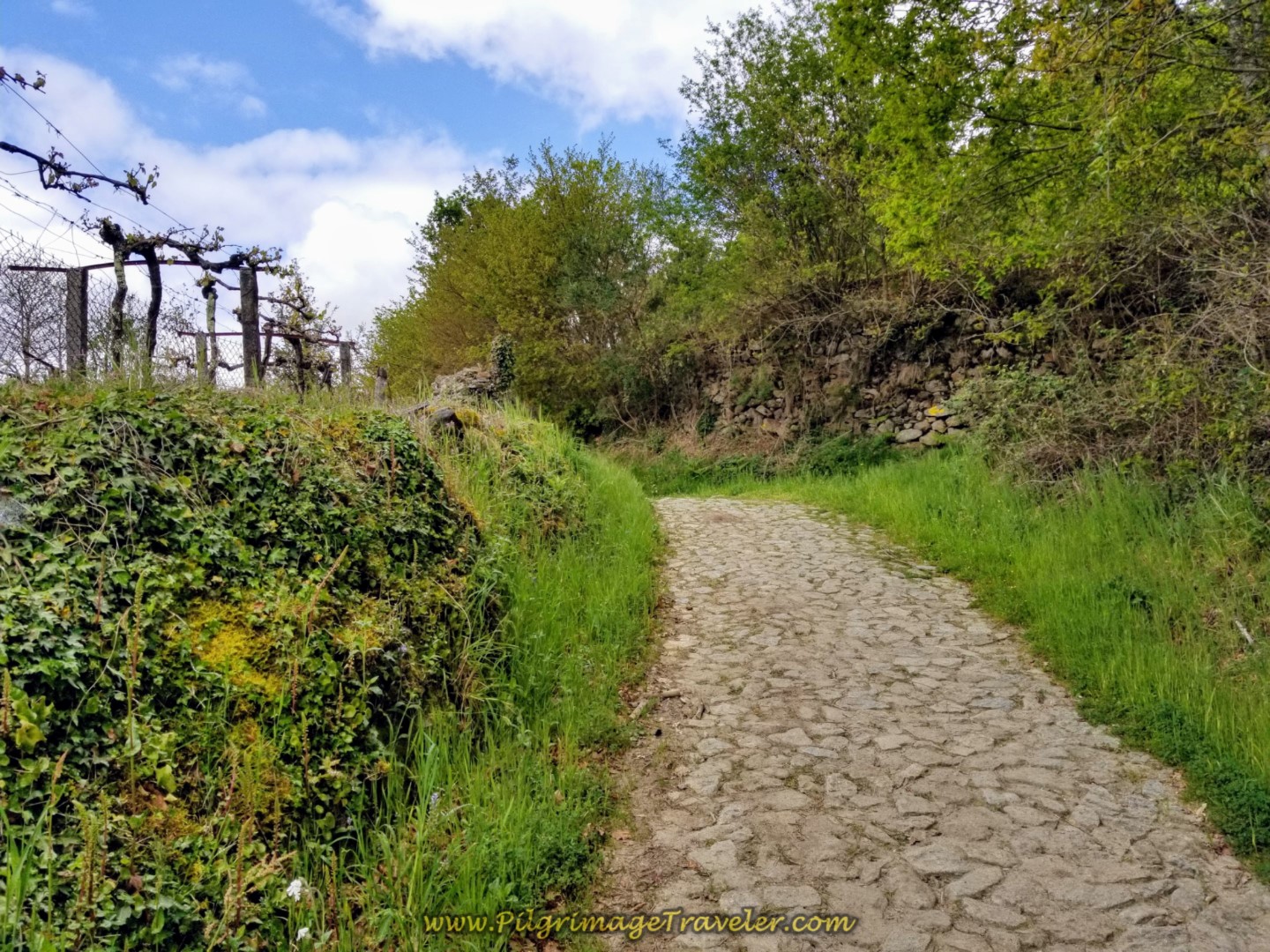 Up the Hill on More Cobblestone on day eighteen on the Central Route of the Portuguese Camino