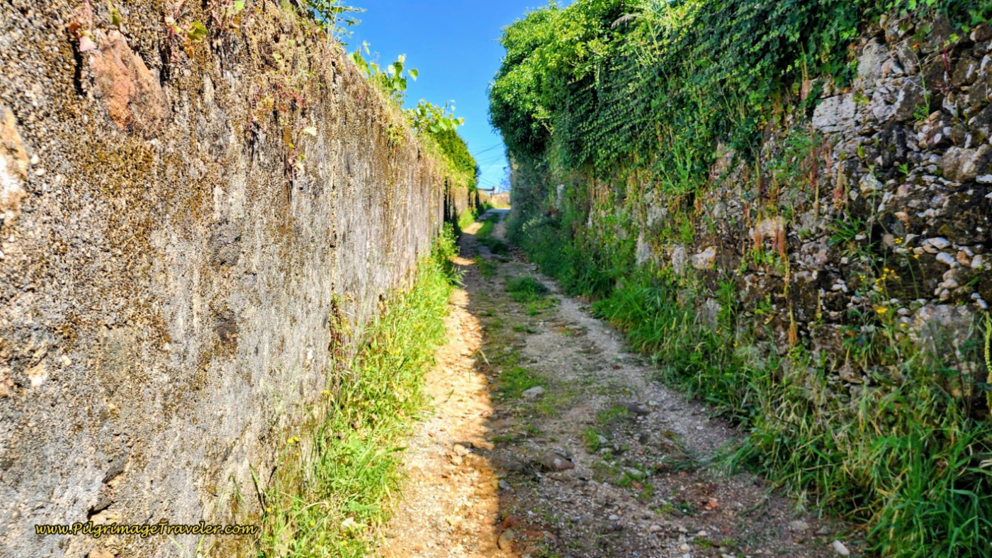 Briefly Turns to this Lane on day thirteen on the Camino Portugués