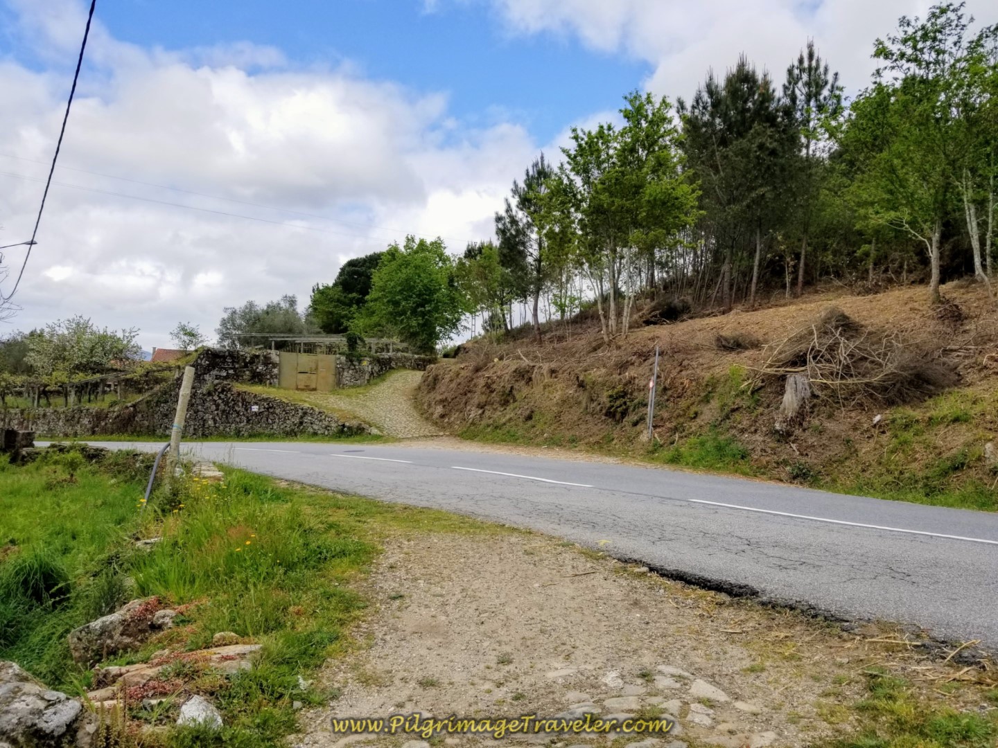 Crossing the N301 on day eighteen on the Central Route of the Portuguese Camino