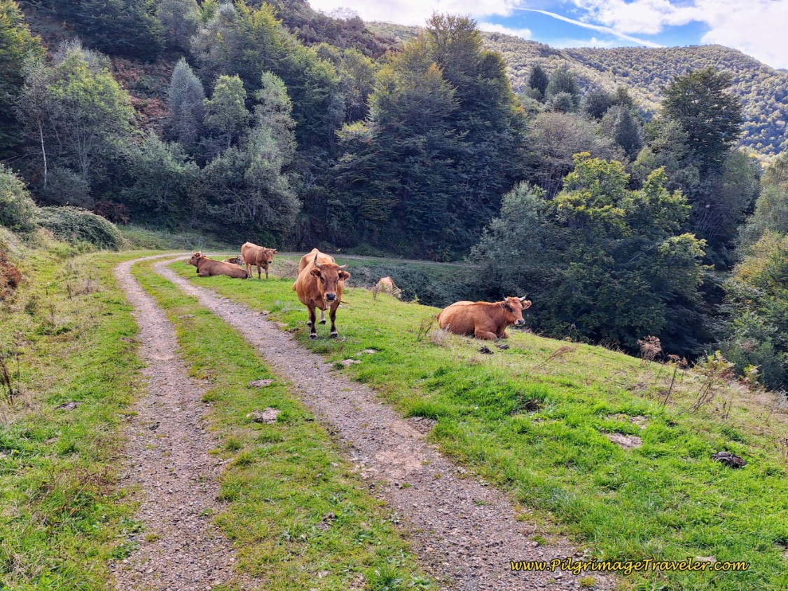 Trail Onward Toward San Miguel
