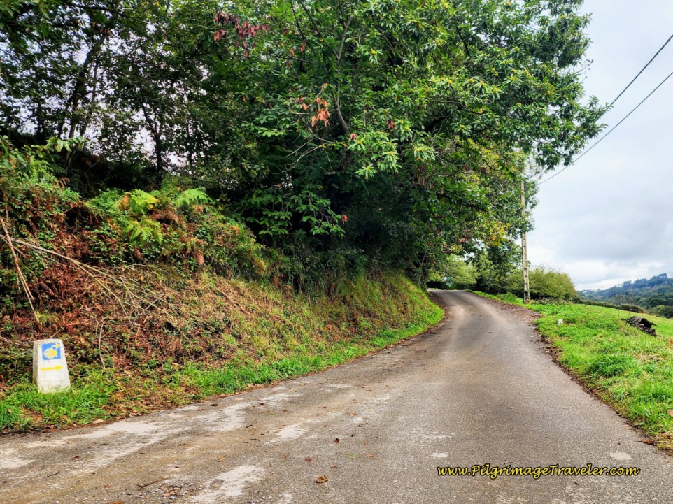 Up the Hill on the Other Side Up the Hill on the Other Side