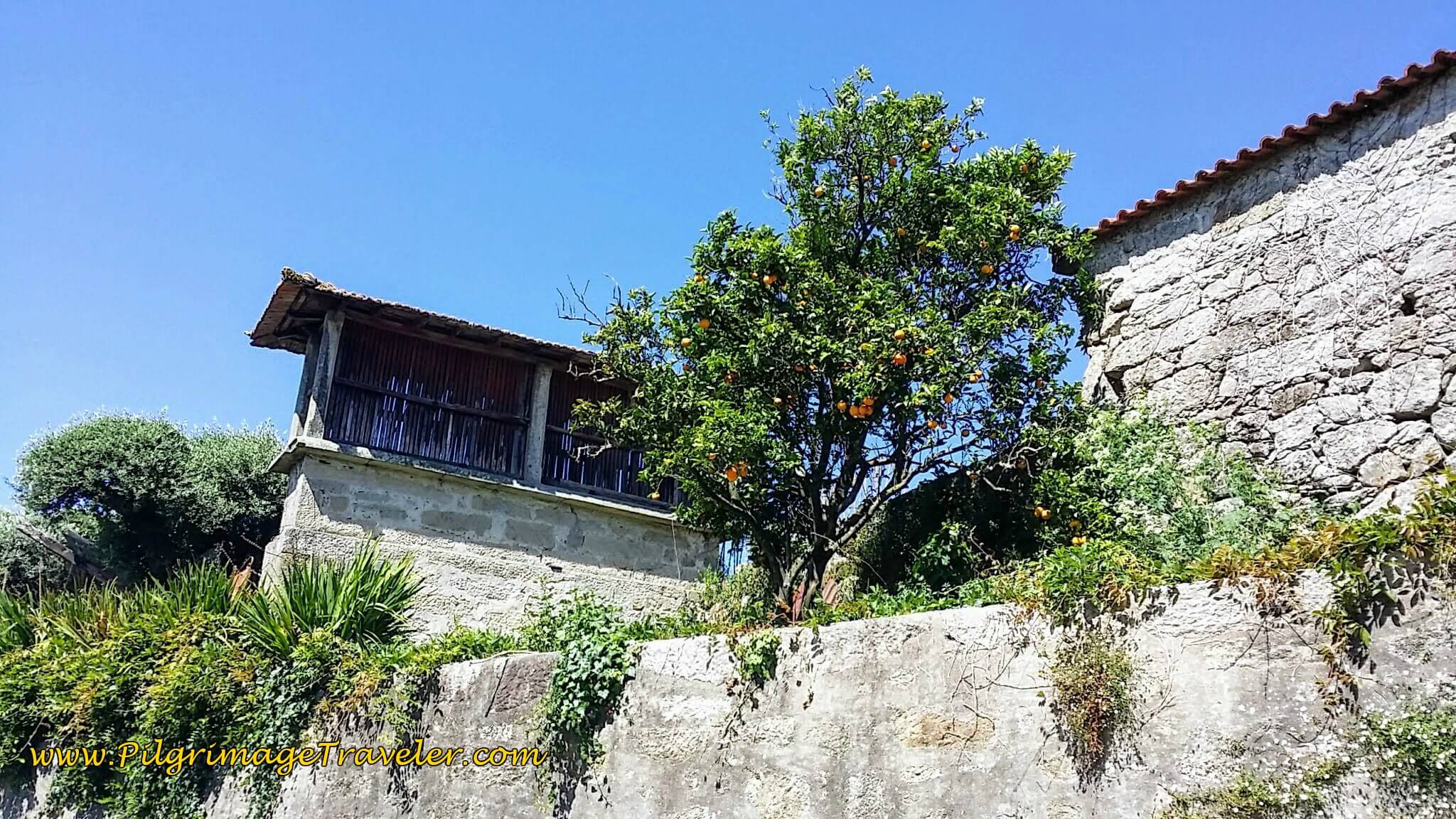 We See the First Horreo -Getting Near Galicia on day seventeen of the Portugese Way