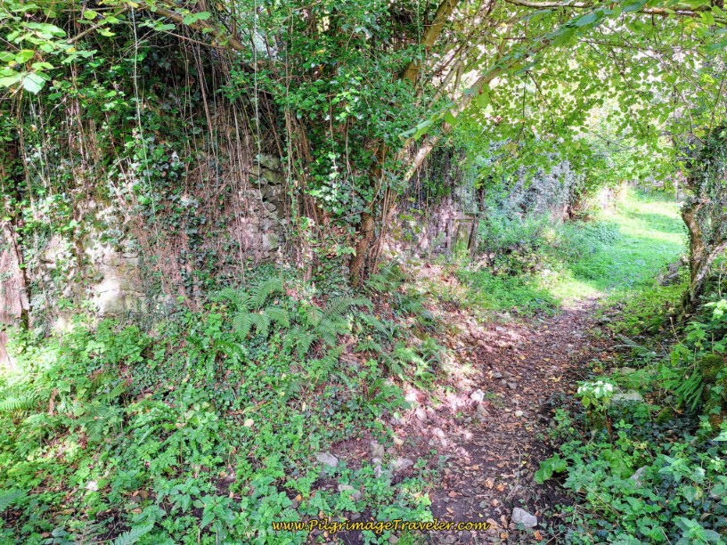 First of the Ruined Ministiriu Buildings