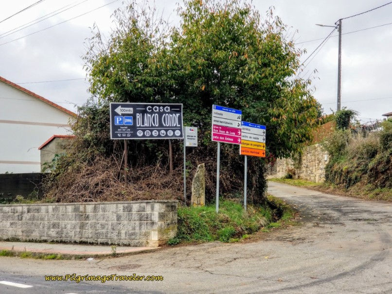 Right Turn in A Laza