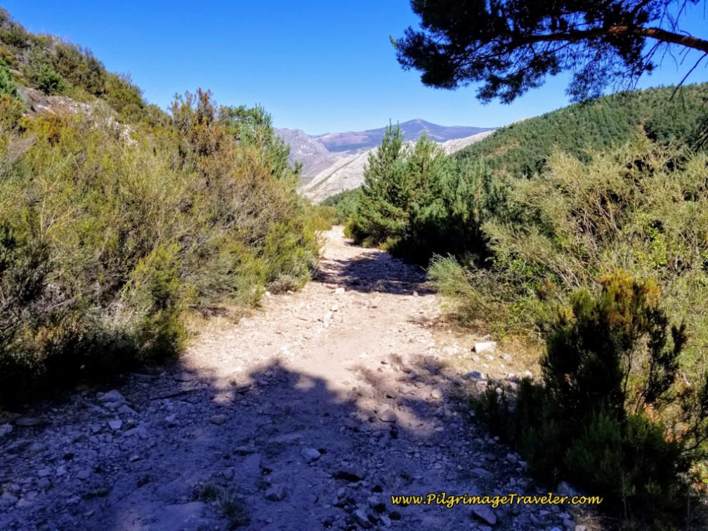 A Bit of Shade Along the Way