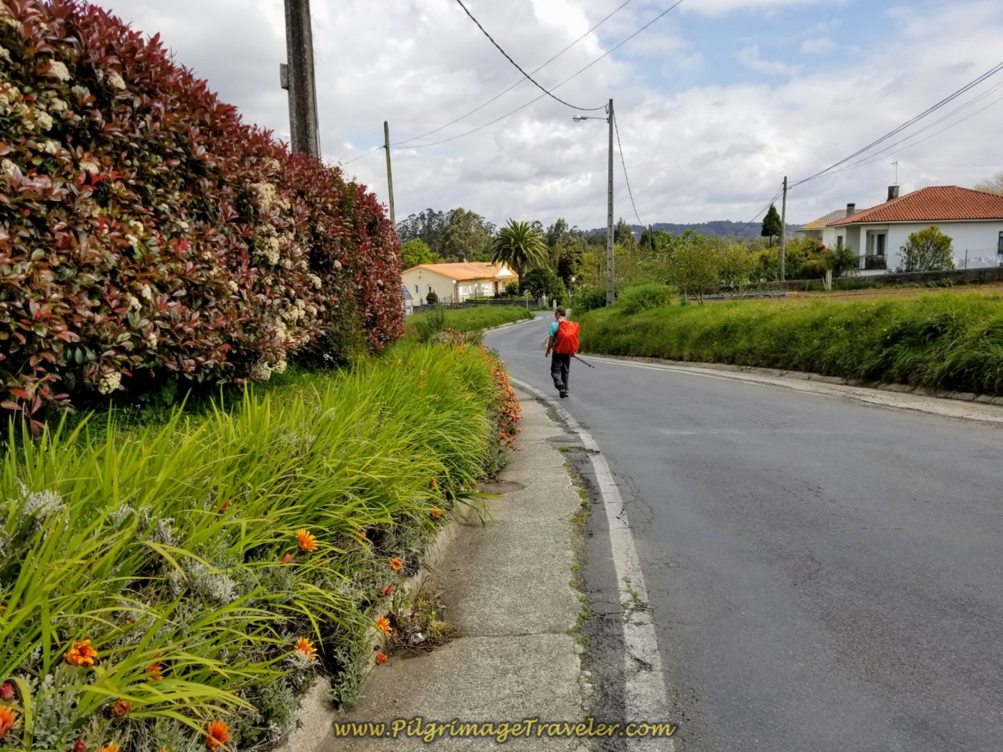 Ambling Along the CP-2103 on day one of the La Coruña Arm of the Camino Inglés Ambling Along the CP-2103 on day one of the La Coruña Arm of the Camino Inglés