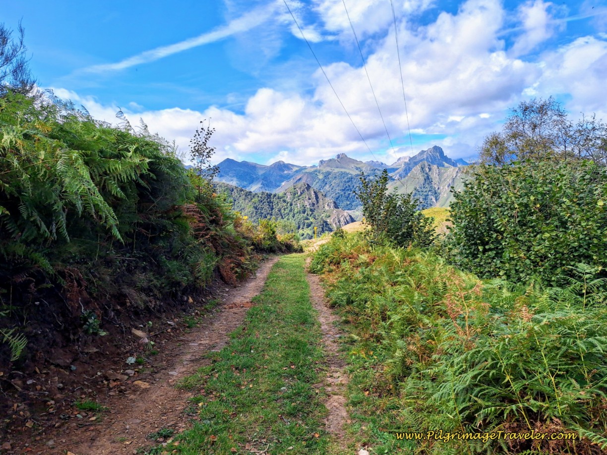 Follow the Power Line on the Ridge
