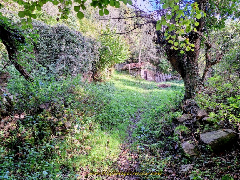 Second Building of the Ministiriu Ruins
