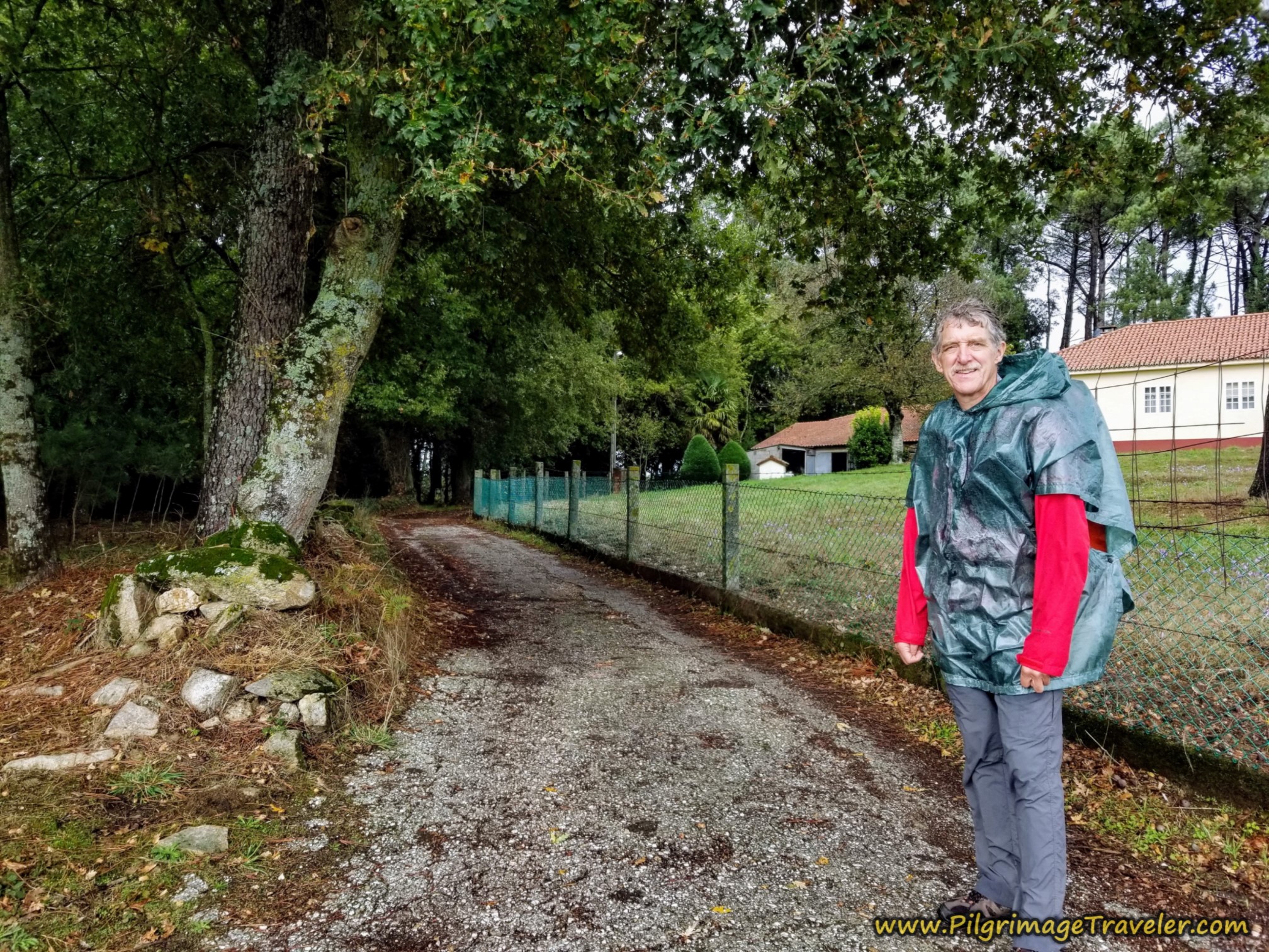 Right Turn Into Forest Right Turn Into Forest