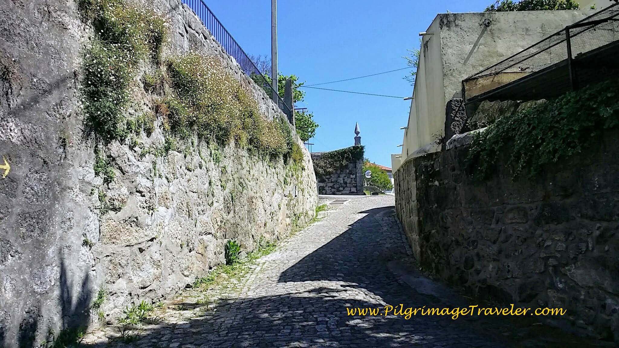Turn Left Here at the Estate, Quinta do Paço d'Anha on day seventeen of the Portugese Way