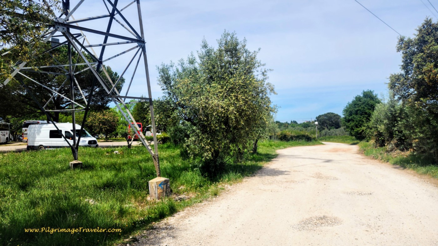 N342-1 on East Side of Conímbriga Parking Lot