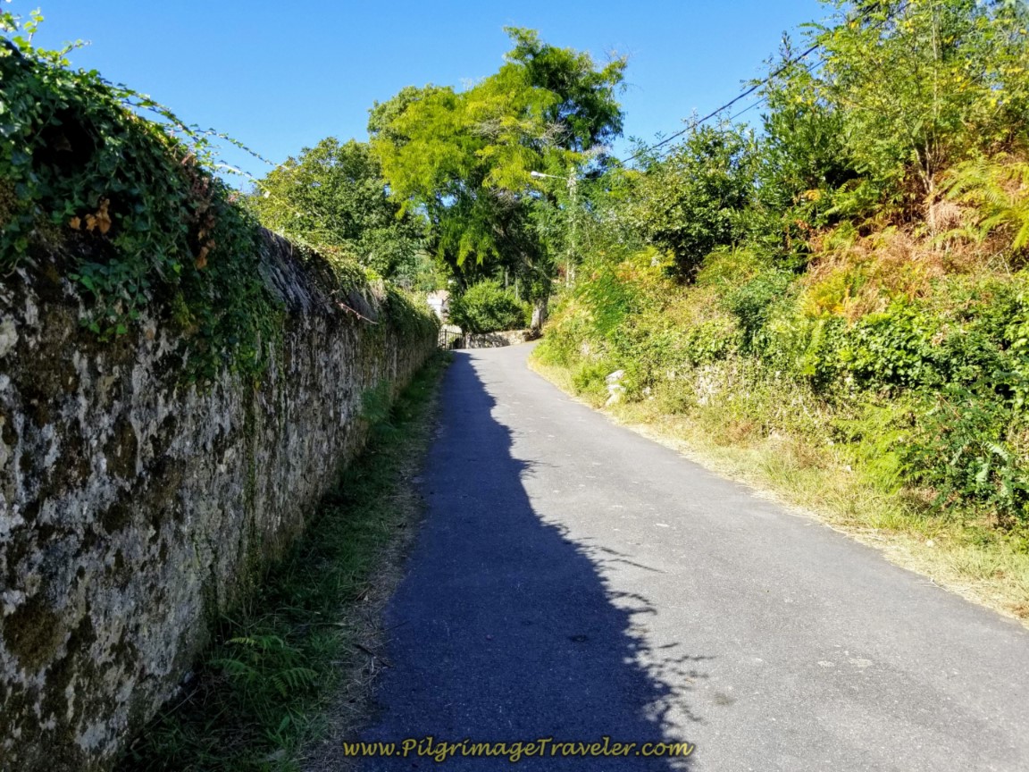 Walled Road Toward Chorente on day three of the Camino Finisterre to Muxía