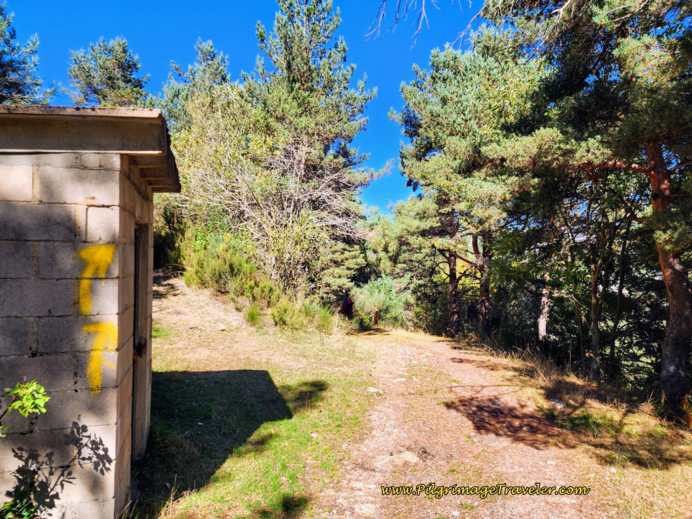 Straight On at the First Water Hut