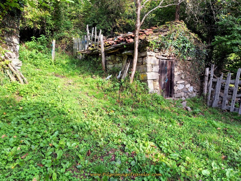 Pass Yellow Arrow on Side of Building