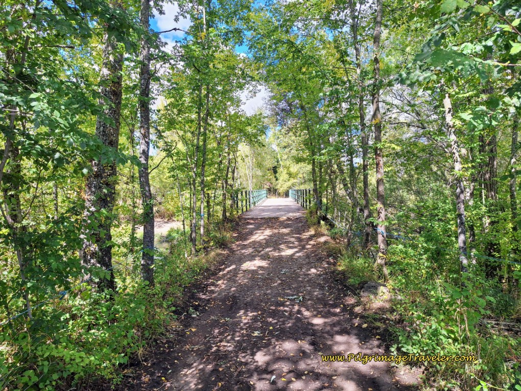 Initial Shady Lane Por Llanos