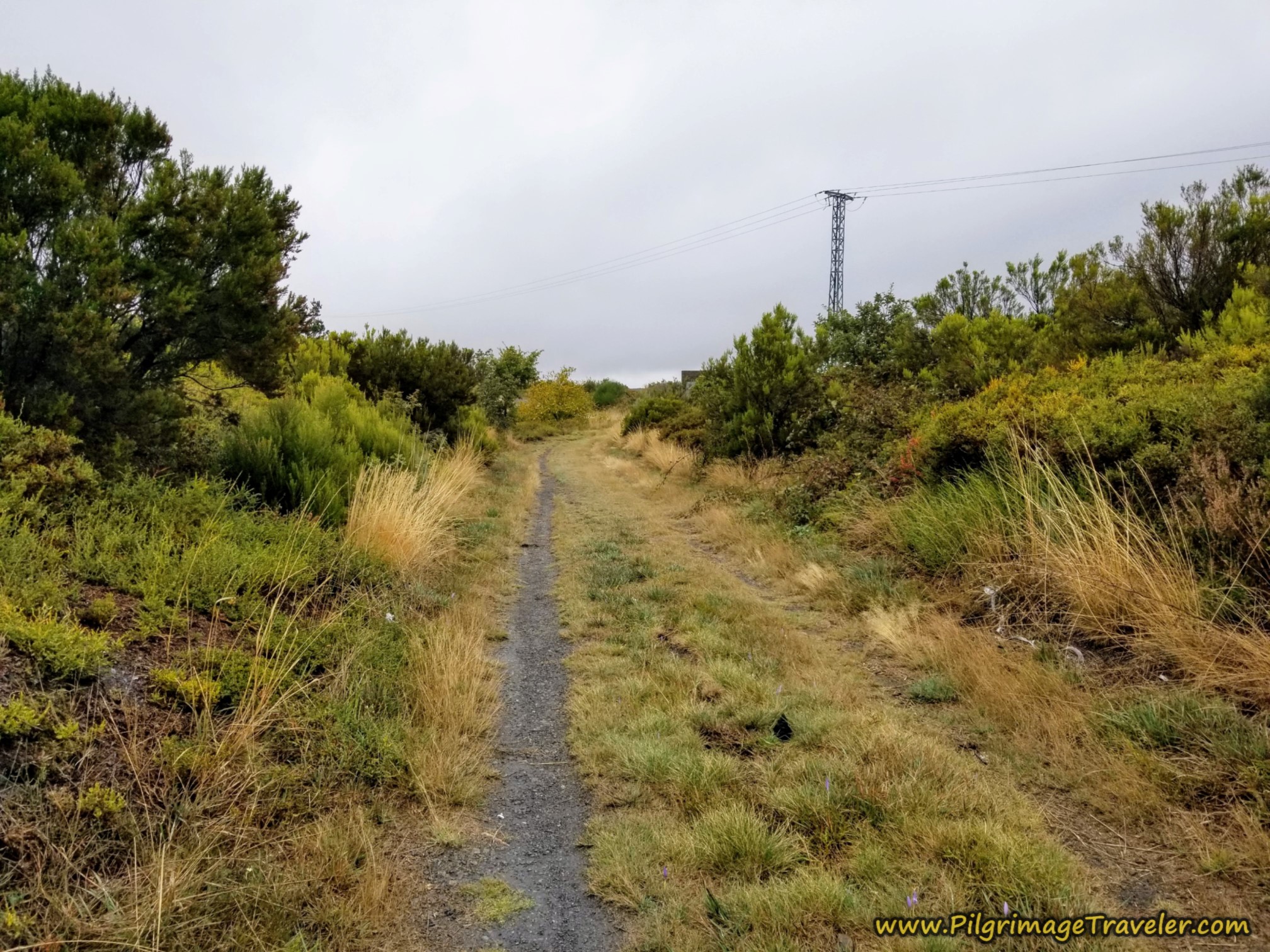 Safe and Protected Side Lane Toward Solar Bank