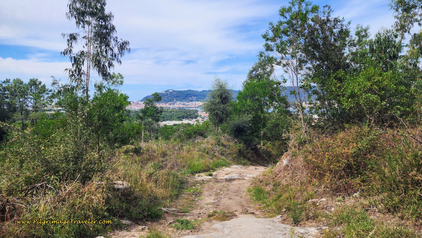 Turn onto Forest Road