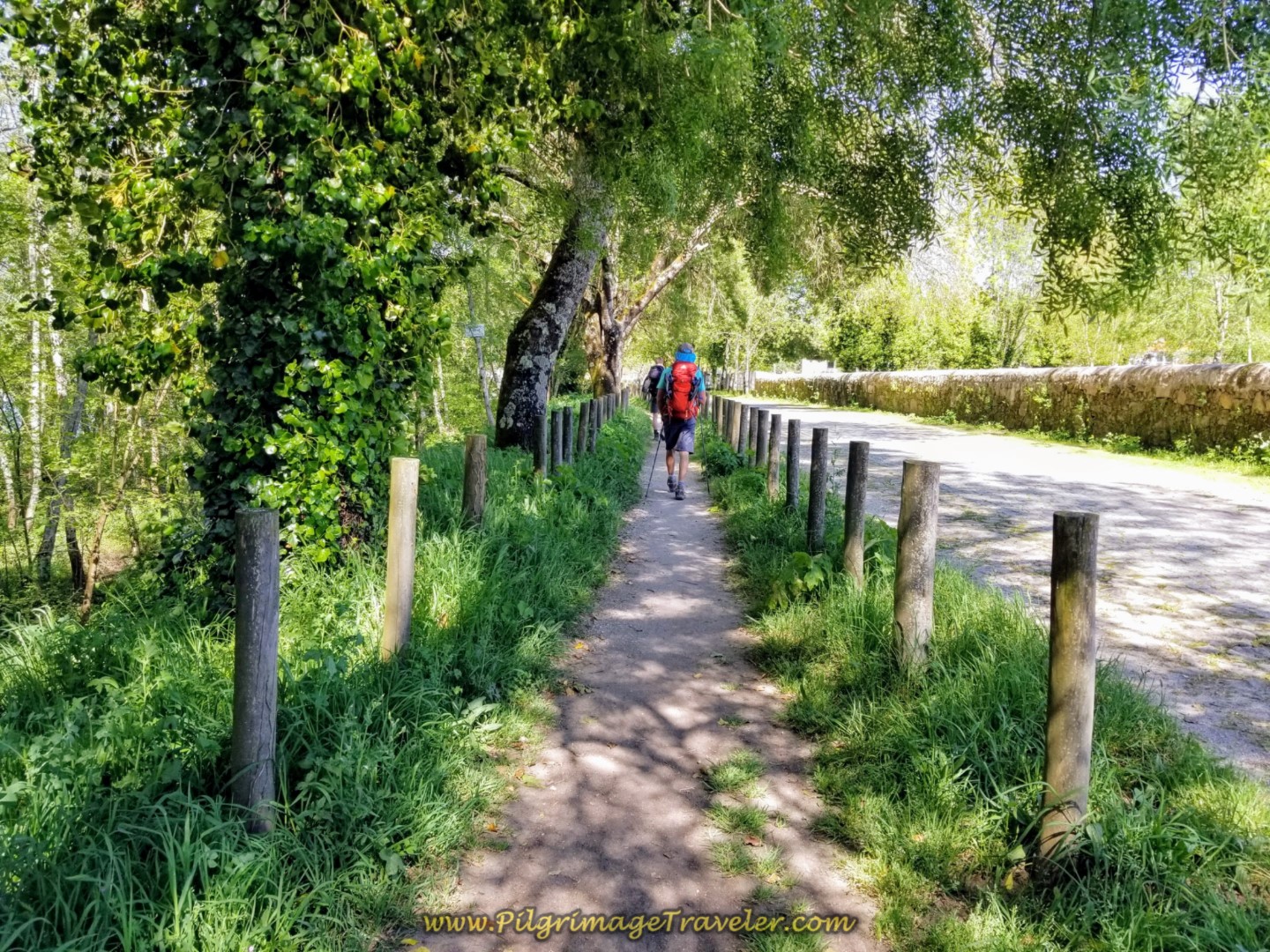 Camino Path Along the Lima River, entering Ponte de Lima, on day seventeen on the Central Route of the Portuguese Camino