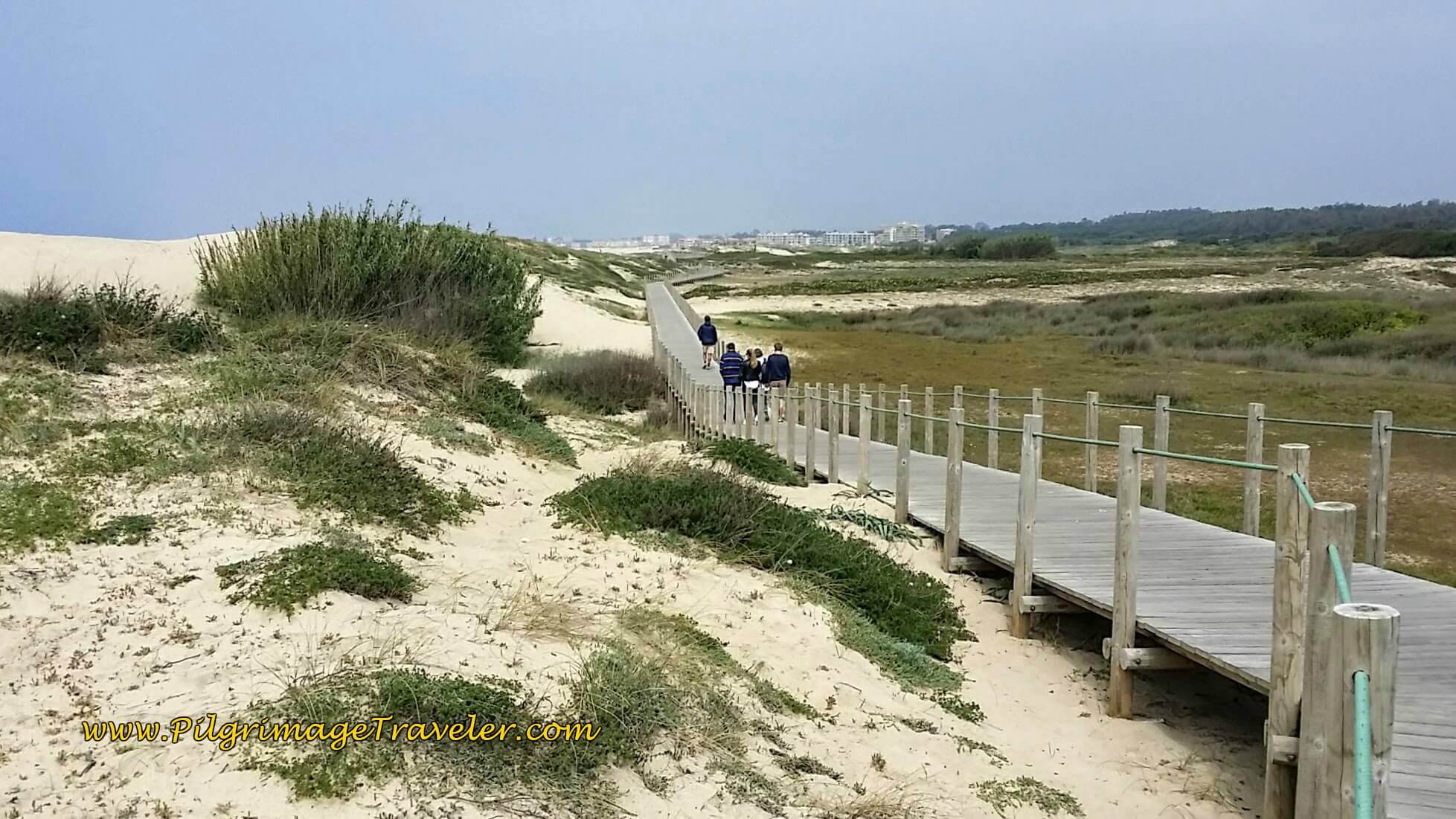 Through the Dunes of the Litoral de Vila do Conde e Reserva Ornitológica on day fifteen of the Camino Portugués on the Senda Litoral