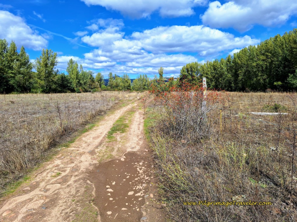 Next, Open Dirt Lane