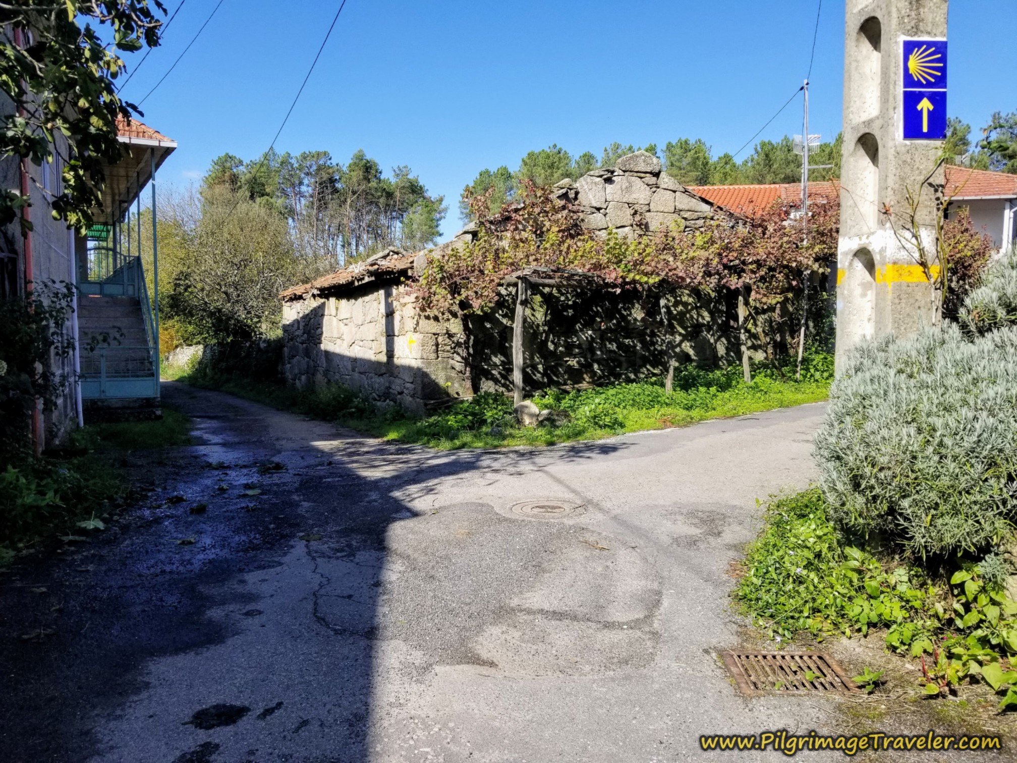 Straight On in Casas Novas