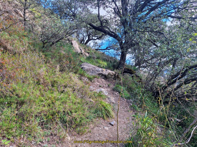 Steep and Slippery Path