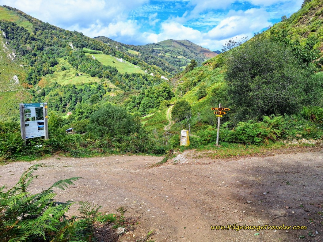 Straight On at Crossroads