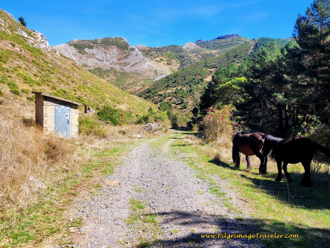 Turn Left Here at This Water Hut