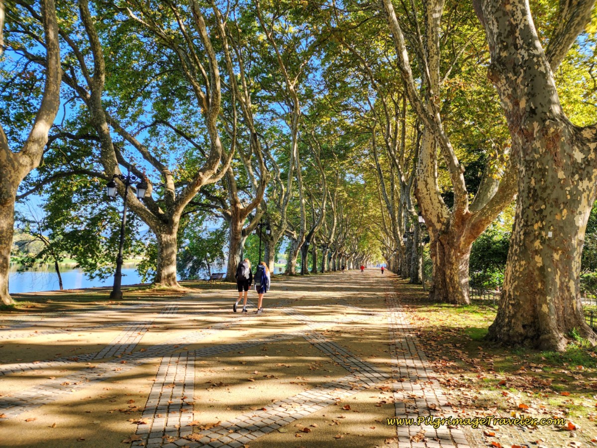 Plátanos Pedestrian Street Along the Lima River