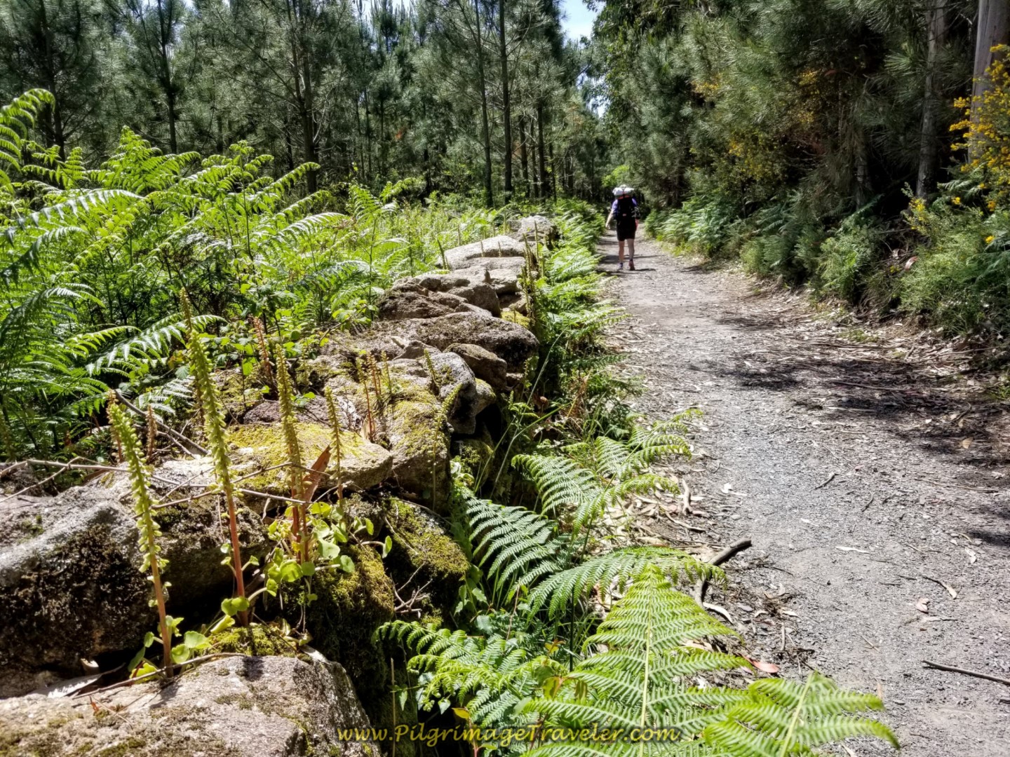 Stone Walls Line the Rúa Fisterra