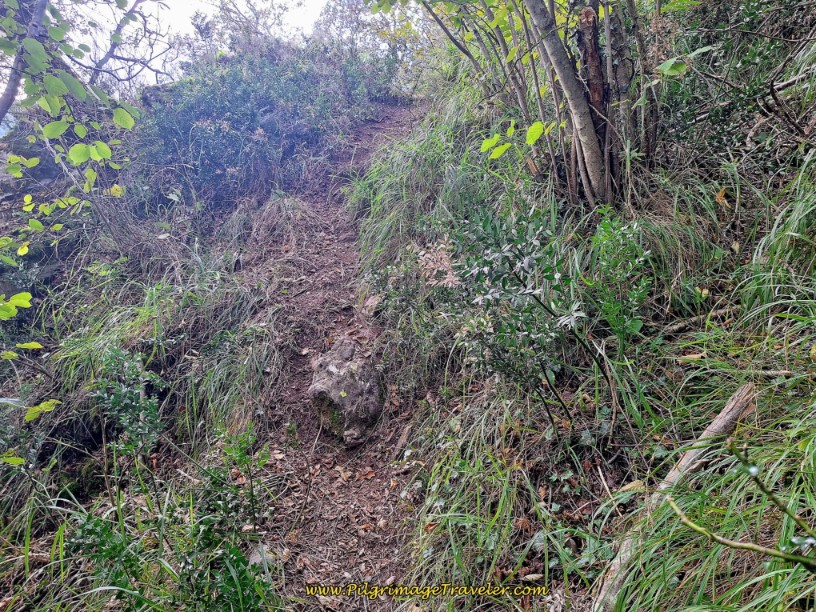 Final Steep Section