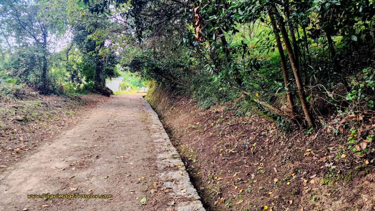 Improved Pilgrim's Path