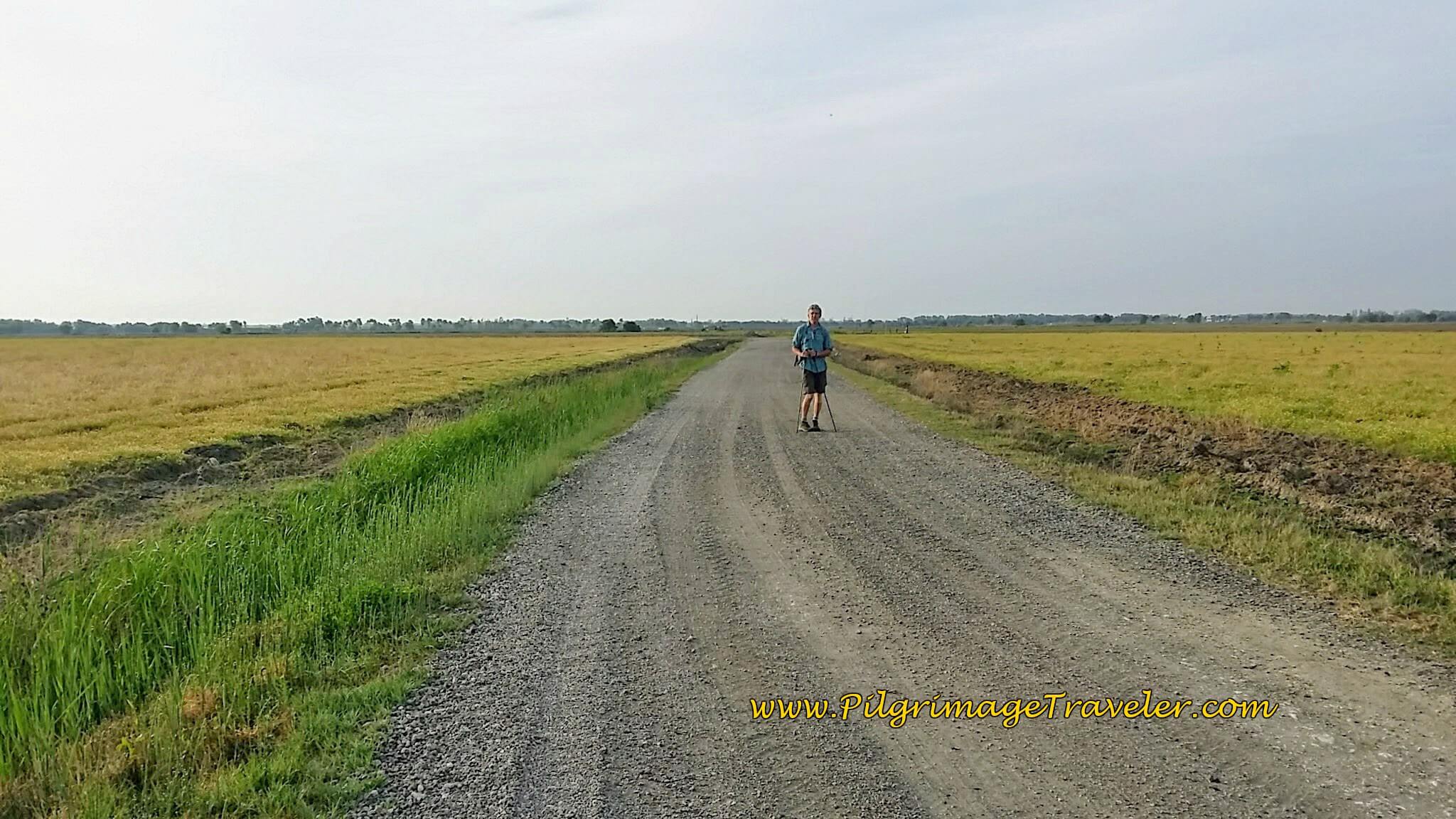 Land Spreading Out Far and Wide