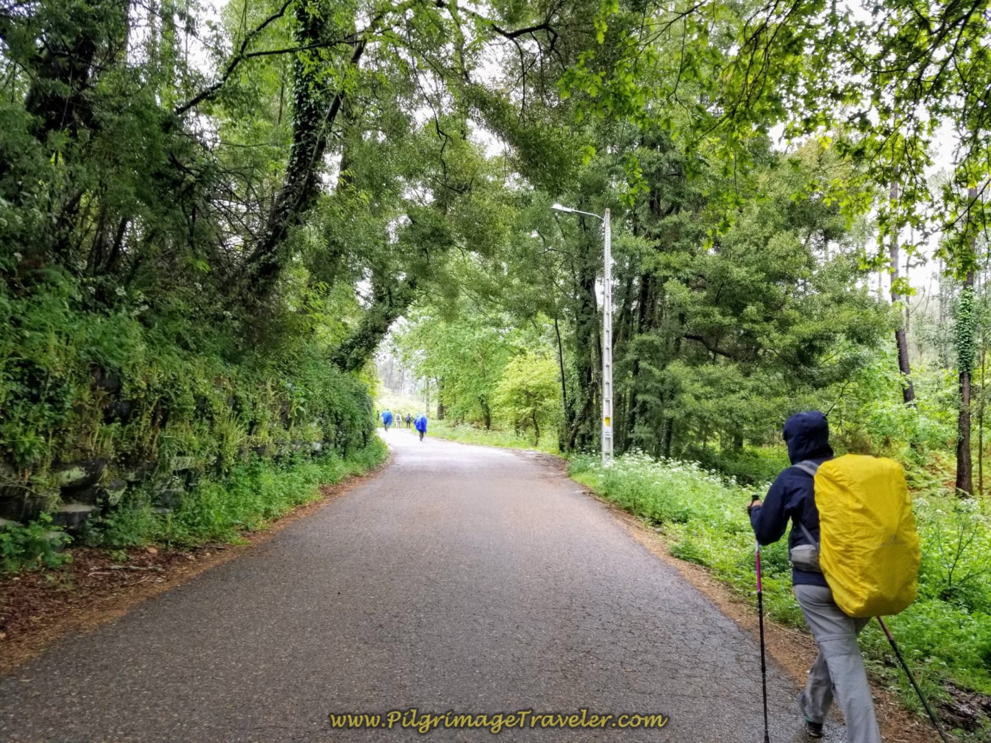 Northward on Quiet, Paved Road