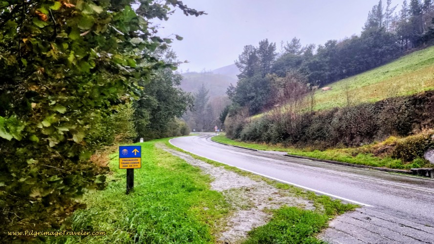 Join the AS-219 Towards Colinas de Arriba