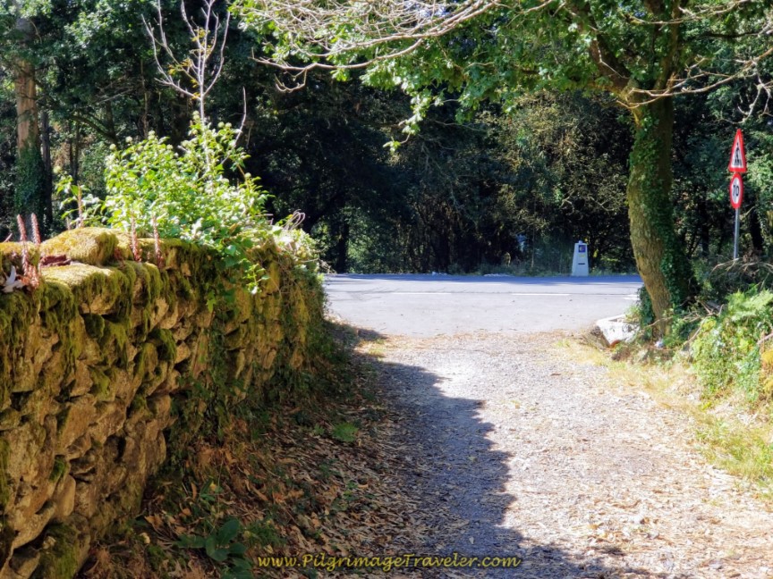 Turn Right Onto DP-3404