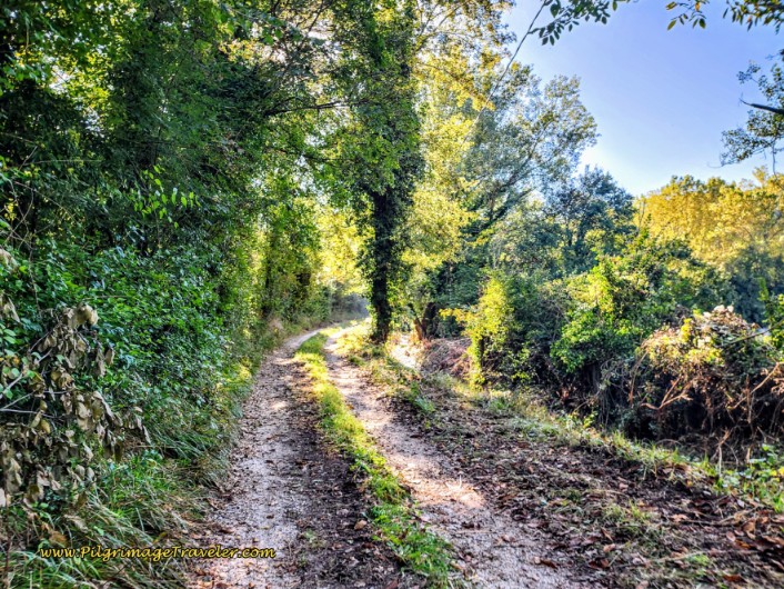 Way of St. Francis: Day Seventeen, Piediluco to Poggio Bustone - Along the Two Track Toward Labro