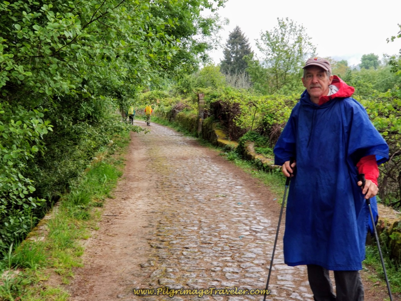 Turn Onto Cobblestone Lane on day eighteen on the Central Route of the Portuguese Camino
