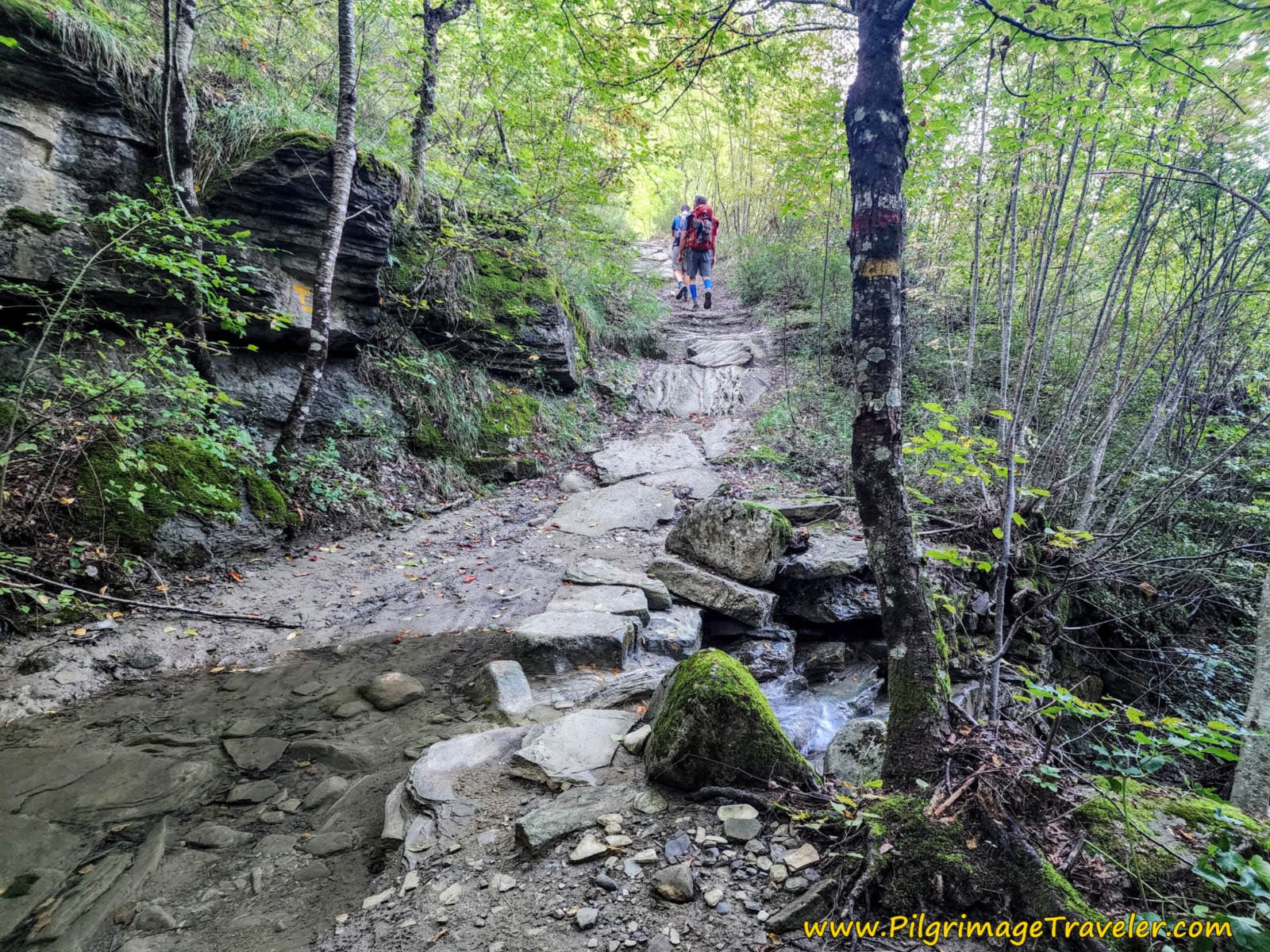 Cross First Drainage