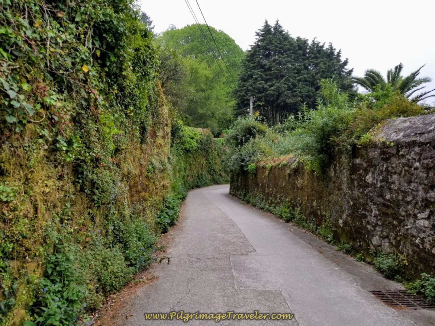 Quaint High-Walled Costa do Cano Street on day one of the Camino Finisterre