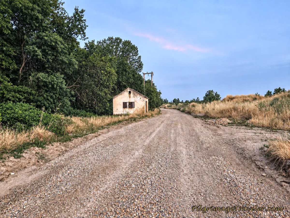 Pass Abandoned Building Along the River