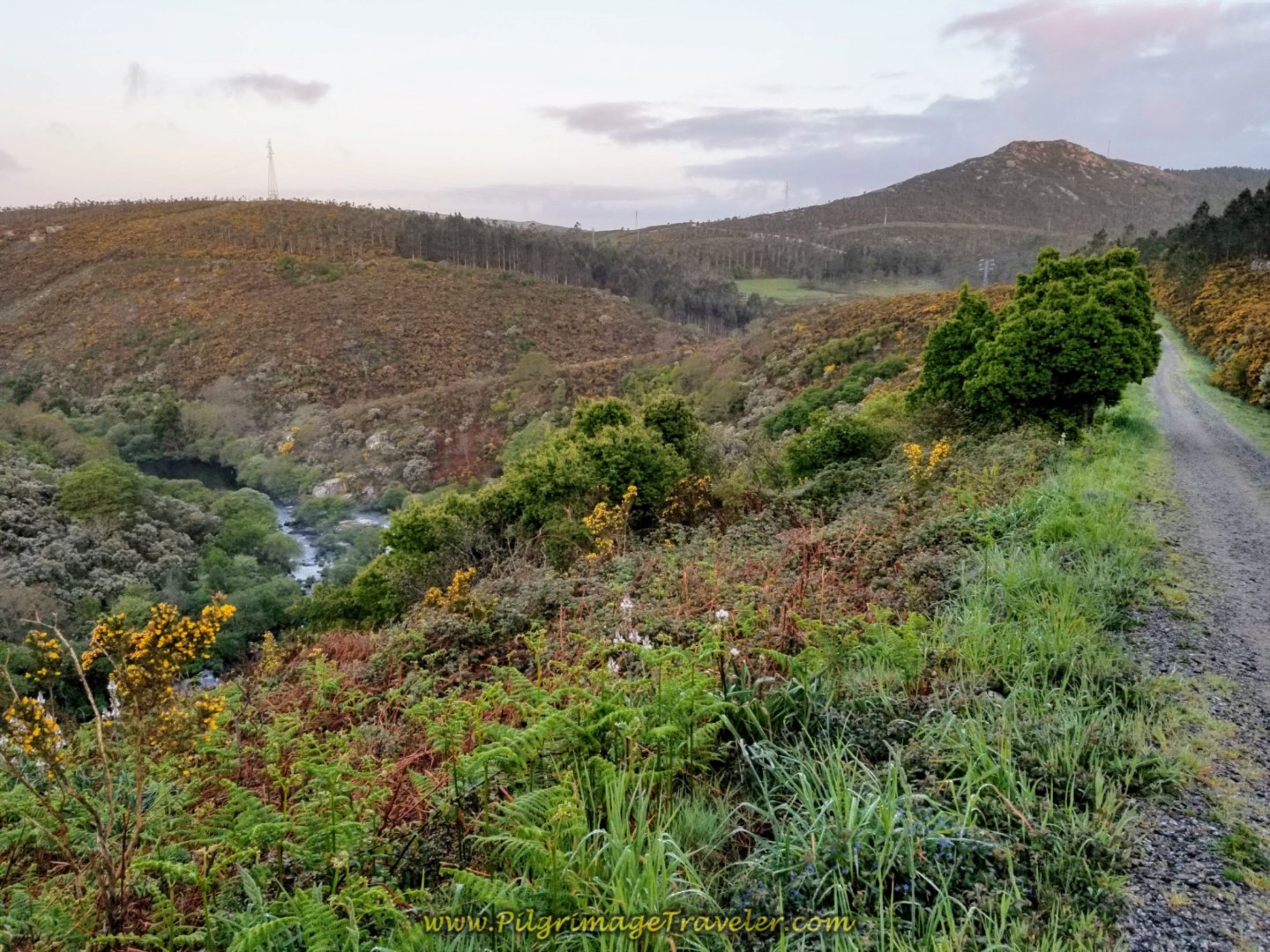 River Xallas Valley on a Clear Day