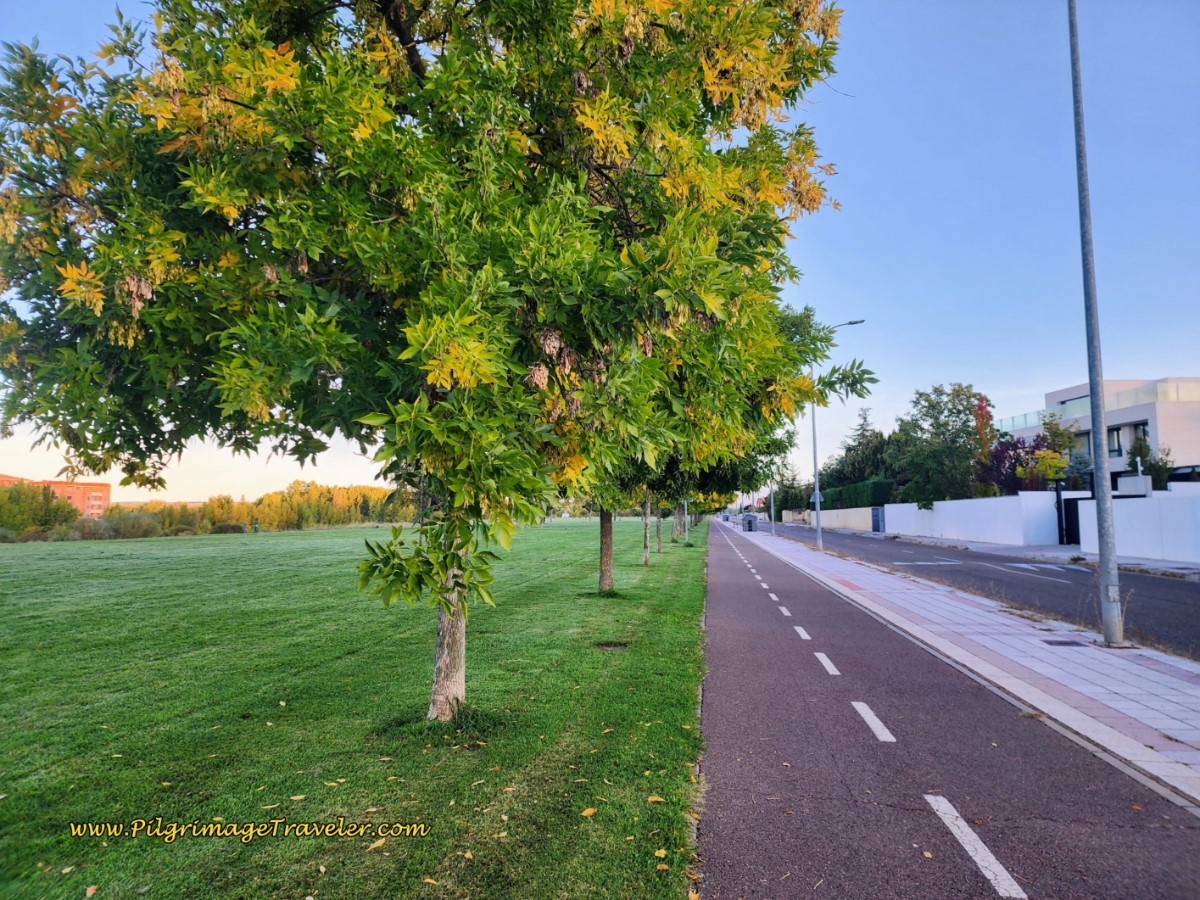 Running Track Joins the Camino