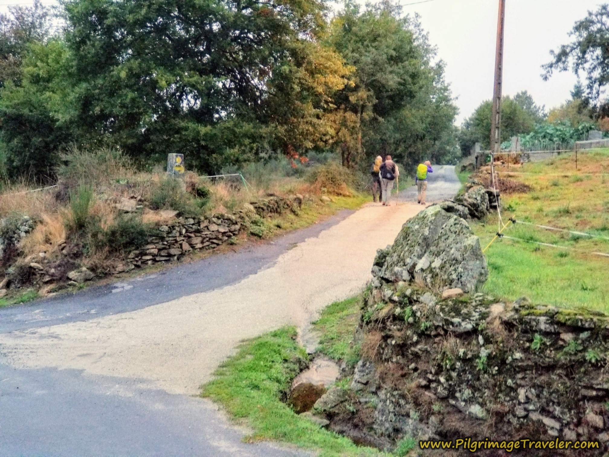 Straight On Across Paved Road