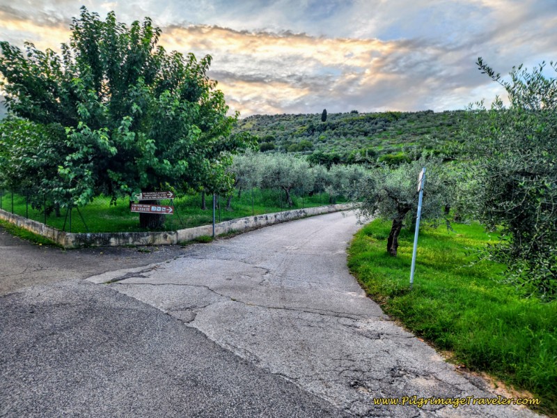 Straight Onwards at Crossroads Way of St. Francis: Day Thirteen, Trevi to Poreta - Straight Onwards at Crossroads